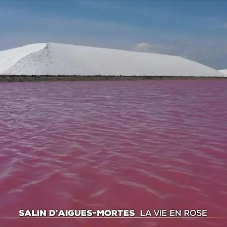 Marina Le Paradis Sur L'eau Hébergement de vacances Aigues-Mortes