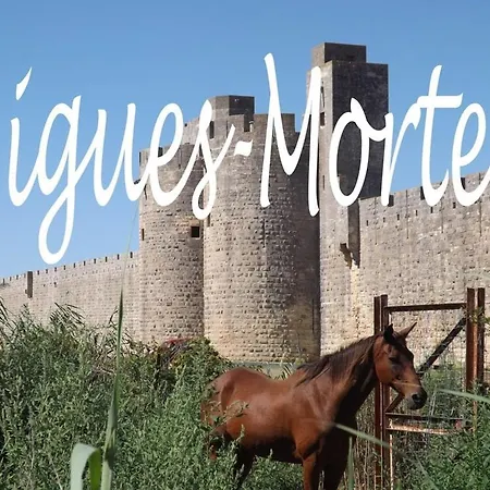 Holiday home Marina Le Paradis Sur L'eau Aigues-Mortes